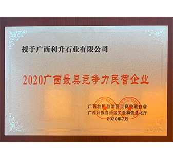 2020廣西最具競(jìng)爭(zhēng)力民營(yíng)企業(yè)